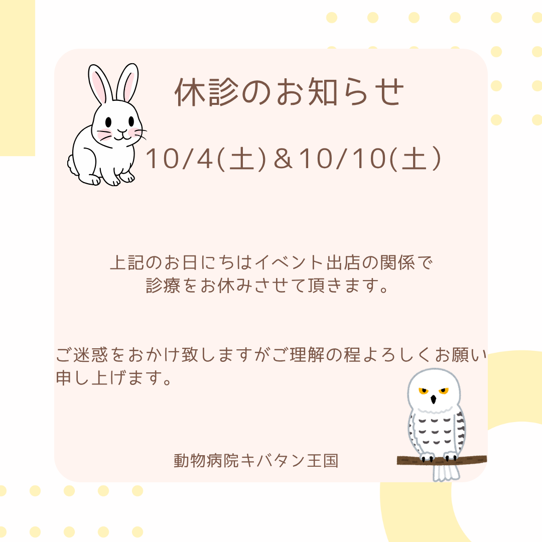 10月の臨時休診のおしらせ